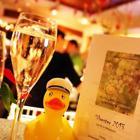 Penzion Johannishof Wein-cafe & Gaestehaus