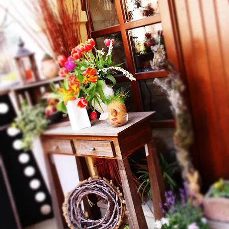 Johannishof Wein-café&gästehaus Maison d'hôtes Langsur