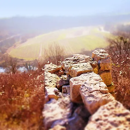 Johannishof Wein-cafe & Gaestehaus Penzion Langsur