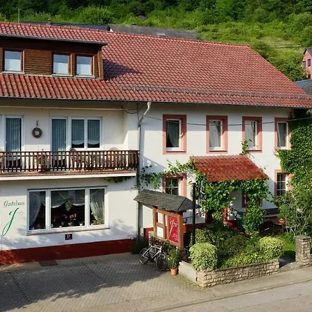 Penzion Johannishof Wein-cafe & Gaestehaus 4*