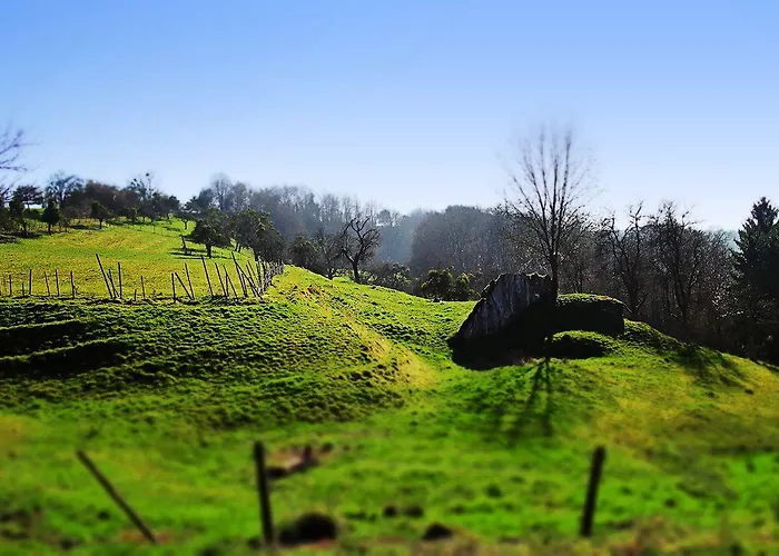 Maison d'hôtes Johannishof Wein-café&gästehaus Langsur